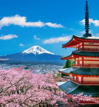 Tokio: qué ver y hacer en la ciudad más fascinante de Japón