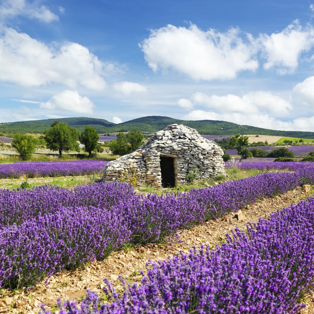 Provenza: guía para descubrir los pueblos y campos de lavanda más bonitos de Francia