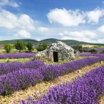 Provenza: guía para descubrir los pueblos y campos de lavanda más bonitos de Francia