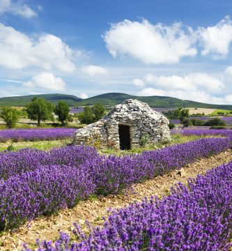 Provenza: guía para descubrir los pueblos y campos de lavanda más bonitos de Francia
