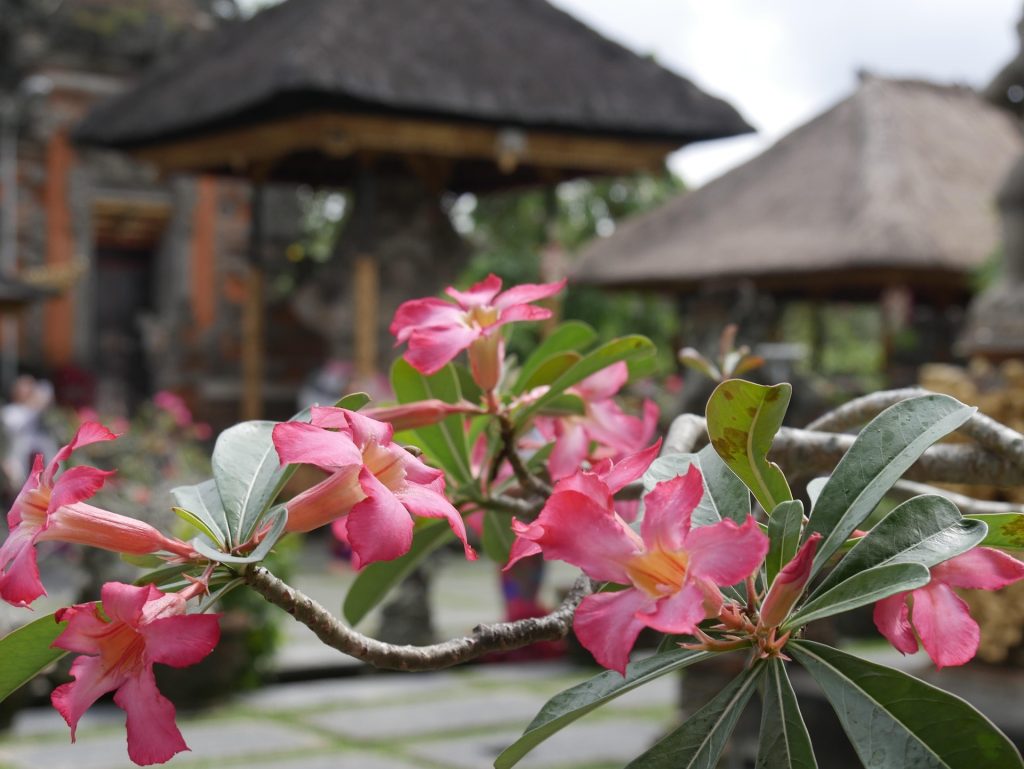 Mejor época para viajar a Indonesia: cuándo ir según el clima, las islas y tus planes