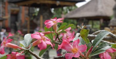 Mejor época para viajar a Indonesia: cuándo ir según el clima, las islas y tus planes